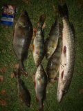 IMG_20230916_200625.jpg