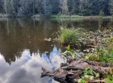 20230917_160835.jpg 20230917_160835.jpg