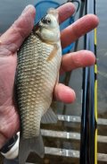20230917_165813.jpg 20230917_165813.jpg
