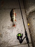 IMG_20230919_231009_540.jpg