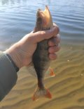 IMG_20230924_215011.jpg