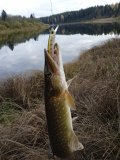IMG_20230929_151817_1.jpg