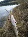 IMG_20230929_153356.jpg