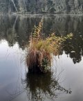 20230930_174902.jpg