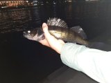 IMG-20230930-WA0013.jpg