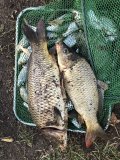 IMG_8916.jpeg