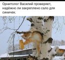IMG_20231008_145841_586.jpg