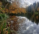 20231015_144754.jpg