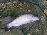 IMG_20231103_104036.jpg