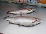 IMG_20231103_163040.jpg