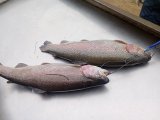 IMG_20231103_155844.jpg