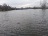 IMG_20231104_092638.jpg