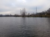 IMG_20231104_092634.jpg
