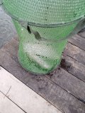 IMG_20231104_123618.jpg