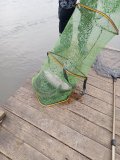 IMG_20231104_123558.jpg