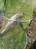 IMG_20231104_102917.jpg