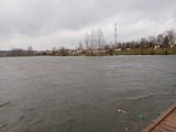 IMG_20231105_090946.jpg