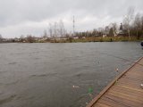 IMG_20231105_090939.jpg