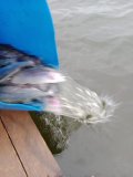 18b6705c-942c-40f7-be07-3dfae01d3a15.jpeg