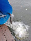 e705fd79-7833-4b01-a971-677f58db92d3.jpeg