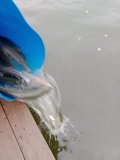 68e57f0f-18cb-4324-9204-2ff7585f578e.jpeg