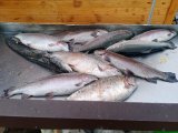 IMG_20231105_123720.jpg