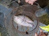 IMG_20231105_104447.jpg