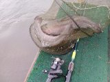 IMG_20231105_104020.jpg