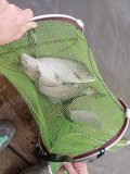 IMG_20231105_103228.jpg