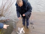IMG_20231105_103201.jpg