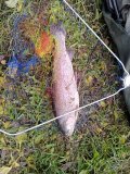 IMG_20231105_102801.jpg