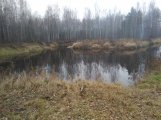 IMG_20231104_141645.jpg