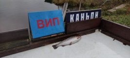 Рыбалка каньон русфишинг