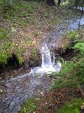 IMG_20231105_112948.jpg