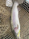 IMG_5057.jpeg