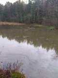 IMG_20231109_104439.jpg