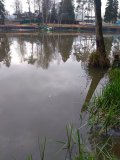 IMG_20231109_104735.jpg