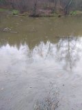IMG_20231109_104504.jpg