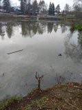 IMG_20231109_104534.jpg