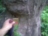 17052010097.jpg