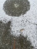 IMG_8120.jpeg