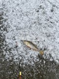 IMG_8119.jpeg