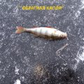 бллесна обратная капля - копия.jpg