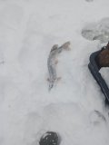 IMG_20231128_095730.jpg