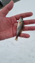 20231203_142817.jpg