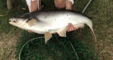 IMG_4919.jpeg