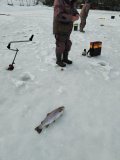IMG_20231222_103142.jpg