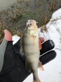 IMG_1244.jpeg
