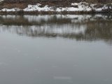 20231224_093109.JPG
