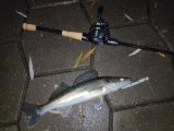 IMG_20231217_231248.jpg